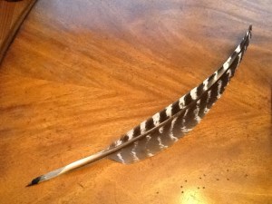 A finished quill that students can use to complete their own Shakespeare project.